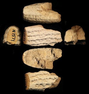 N7571