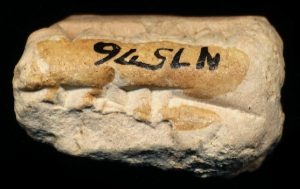 N7576