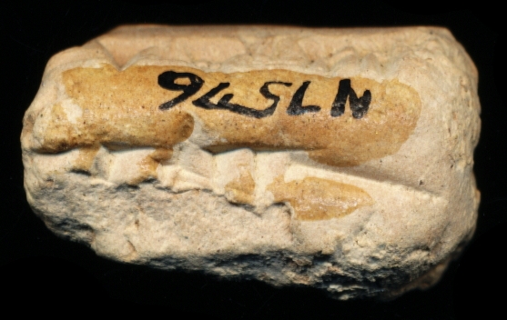 812457