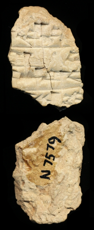 N7579