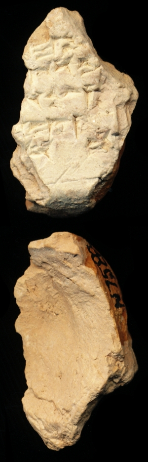 N7582