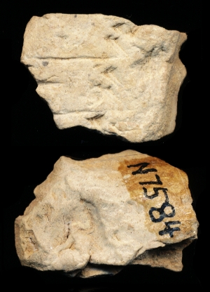 N7584