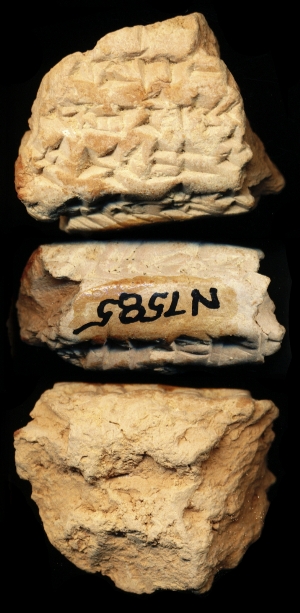 N7585
