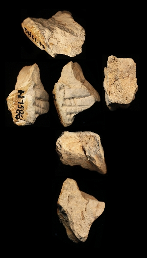 N7586
