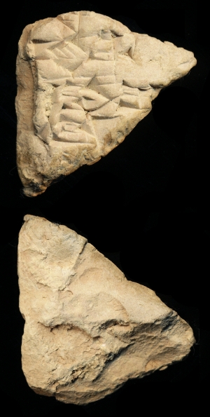 N7587