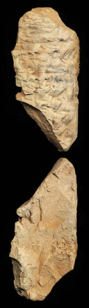 N7589