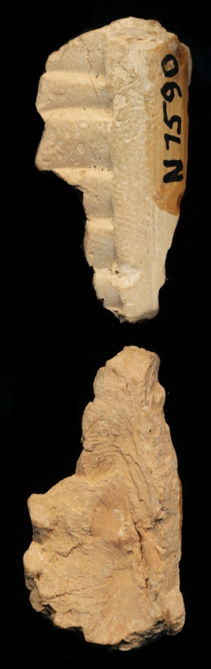 N7590