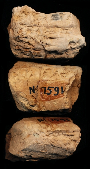 N7591