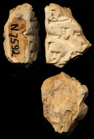 N7592