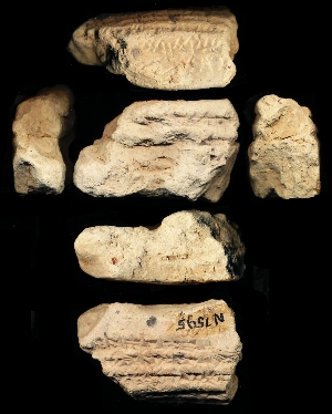 N7595