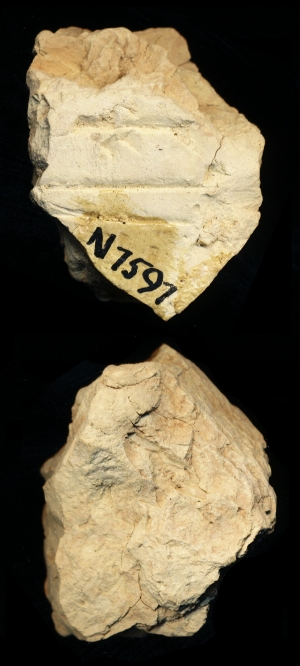 N7597