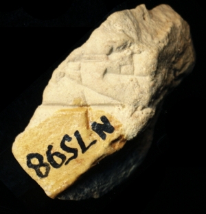 N7598