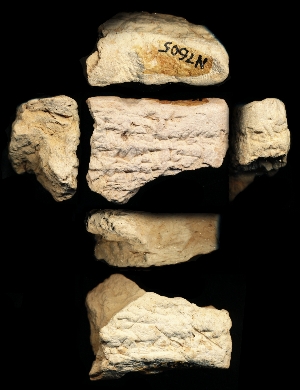 N7605