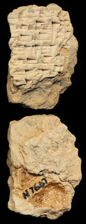 N7607