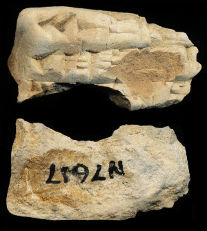 N7617