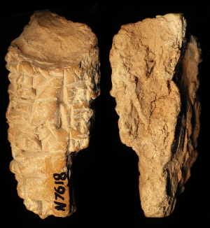 N7618