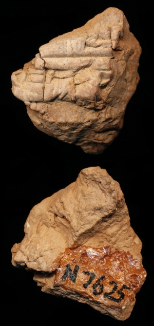 N7625