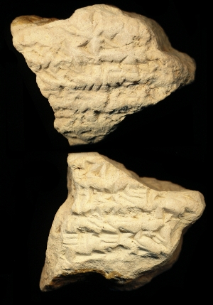 N7636