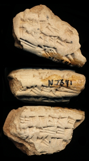 N7641