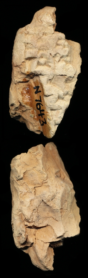 N7643