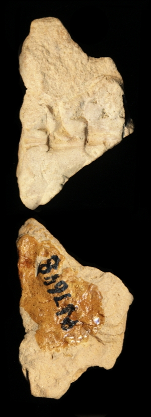 N7648