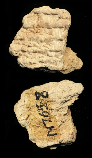 N7658