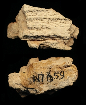 N7659