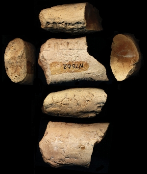 N7662
