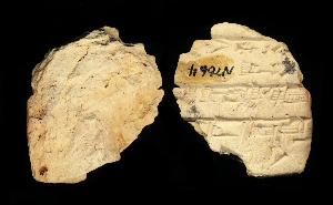 N7664