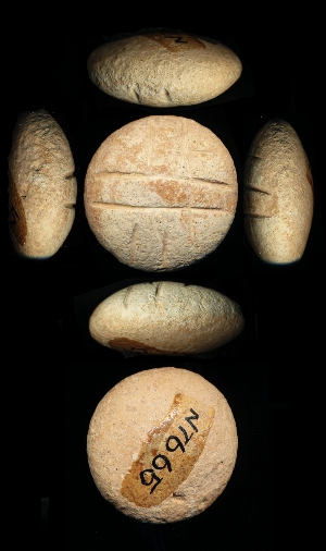 N7665