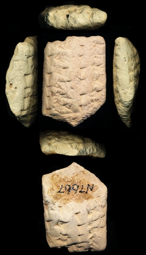 N7667