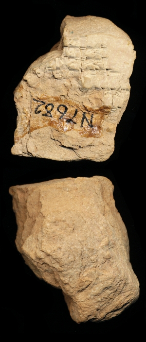 N7682