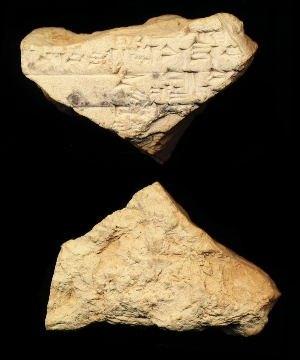 N7686