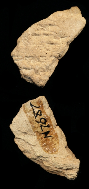 N7687