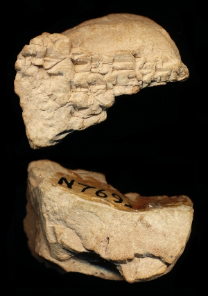 N7692