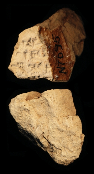 N7695