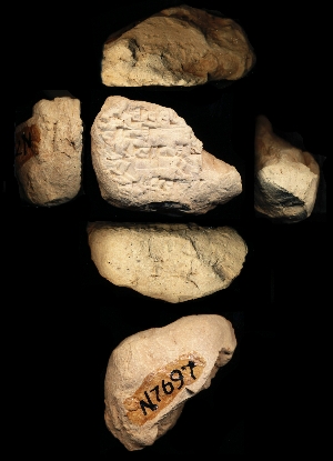 N7697