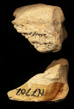 N7702