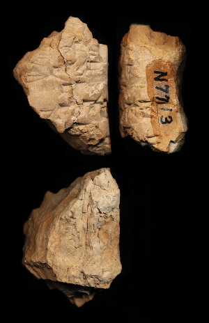 N7713