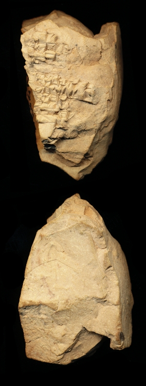 N7717