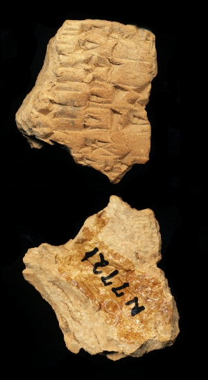 N7721