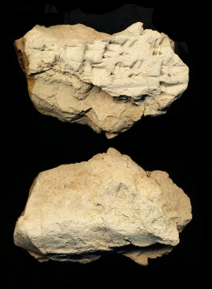 N7723