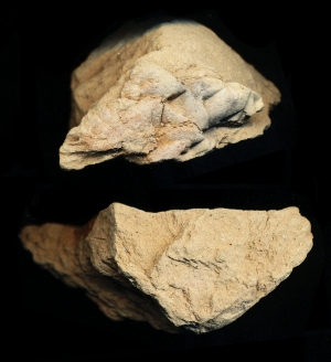 N7724