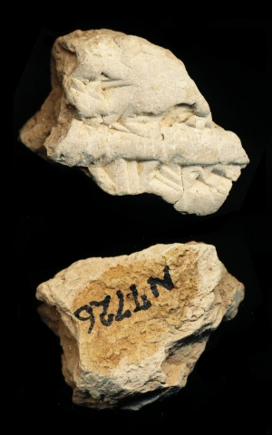 N7726