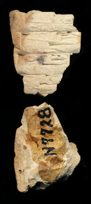 N7728