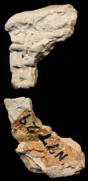 N7729