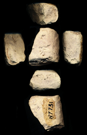 N7731