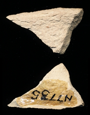 N7735