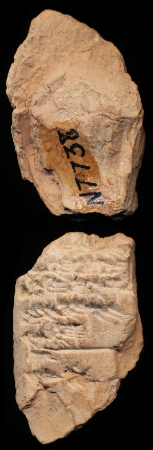 N7738