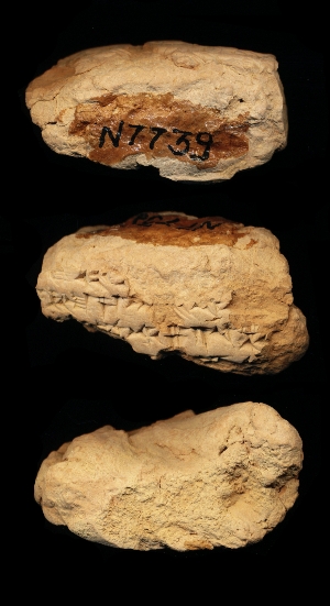 N7739